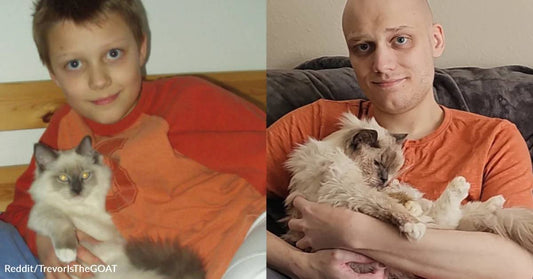 Man Recreates 20-Year-Old Photo with His Cat Before Putting Him to Sleep
