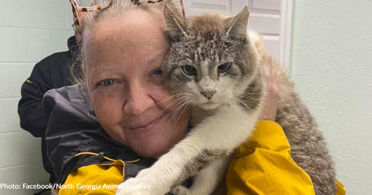 Cat, Kevin Durant, Missing For 7 Years Is Reunited With Mom Thanks To Microchip