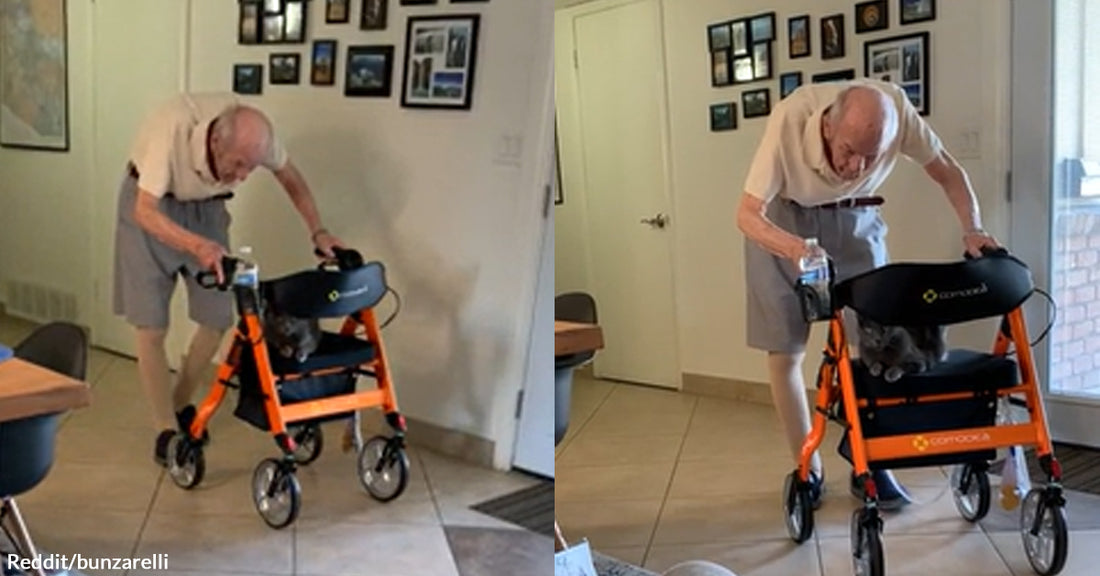 Grandpa Sweetly Gives Free Cat "Rides" for His 94th Birthday