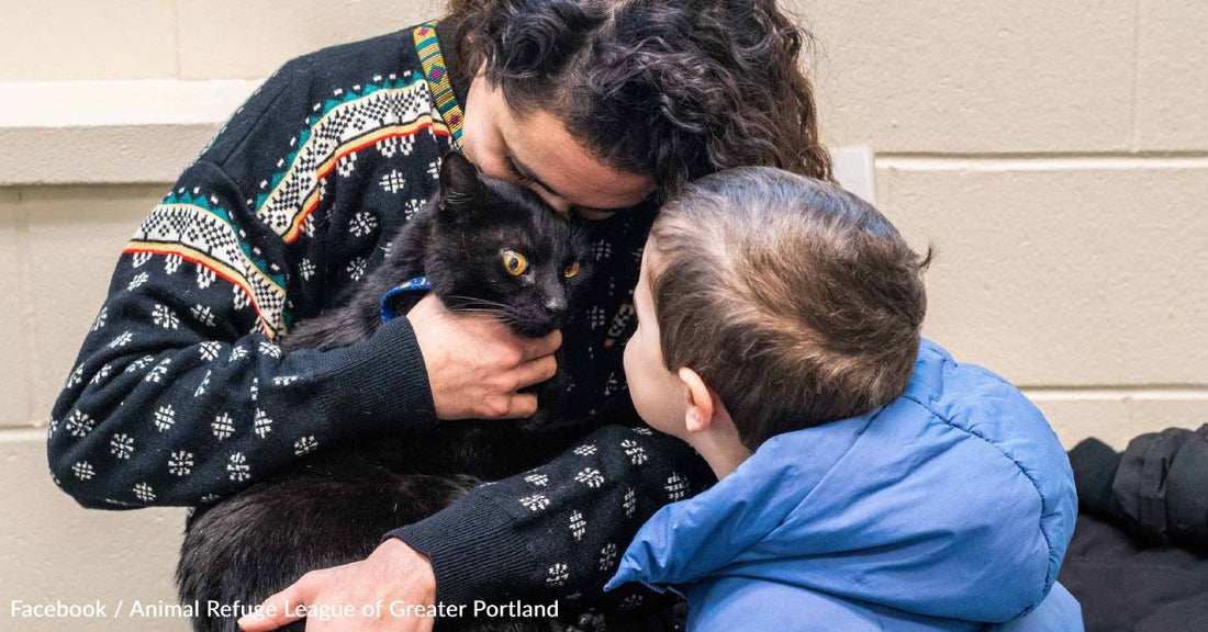 Woman in Maine Reunites with Pet Cat 10 Years After He Went Missing