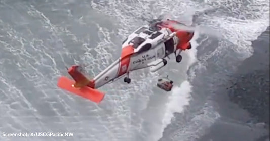 U.S. Coast Guard Rescues Dog Who Fell Off Oceanside Cliff In Oregon On New Year's Day