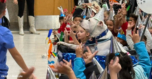 Children celebrate with a dog wearing a party hat at a festive event.