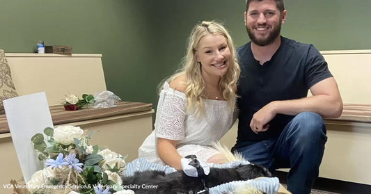 Couple smiling together with their pet in a cozy veterinary clinic setting.