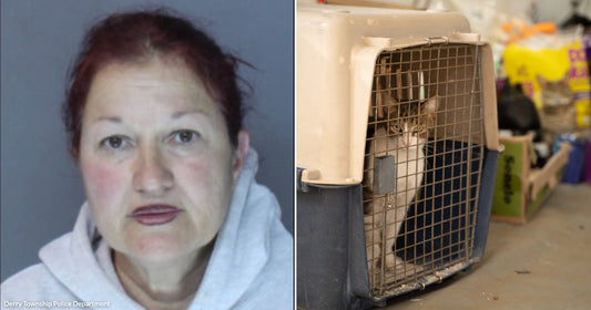 On the left, a middle-aged woman with red hair in a gray hoodie against a plain background; on the right, a cat inside a pet carrier with supplies behind it.