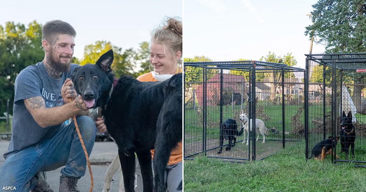 Floodwater Fills Family Homes and Animal Responders Arrive to Make Sure Pets Are...