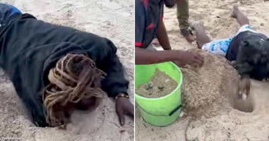Rescuers Lift Sea Turtle Eggs One by One Before Rising Water Can Destroy an Entire Nest