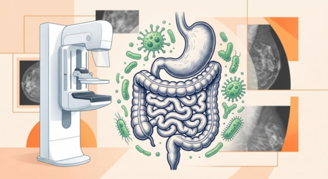 A medical illustration featuring digestive organs and a mammogram machine.