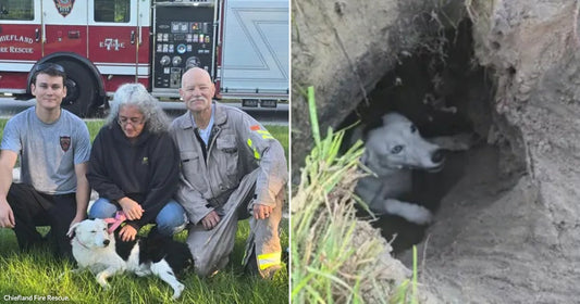 On the left, five people kneel on grass in front of a fire rescue truck with a black-and-white dog; on the right, the same dog peers from a dirt burrow.
