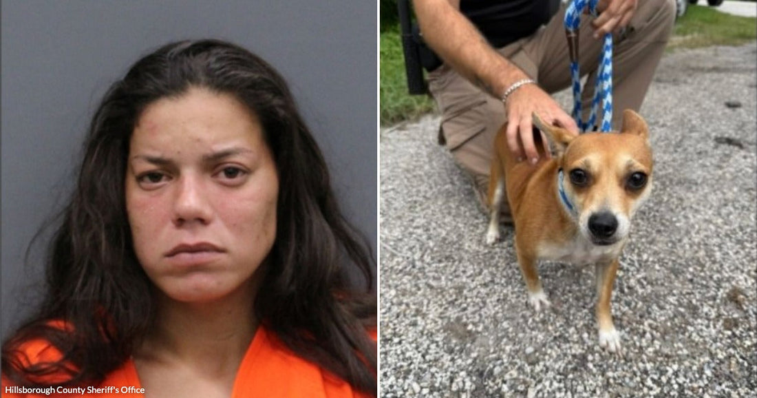 On the left, a woman with long dark hair wears an orange jumpsuit; on the right, a small tan dog on a leash stands outdoors.