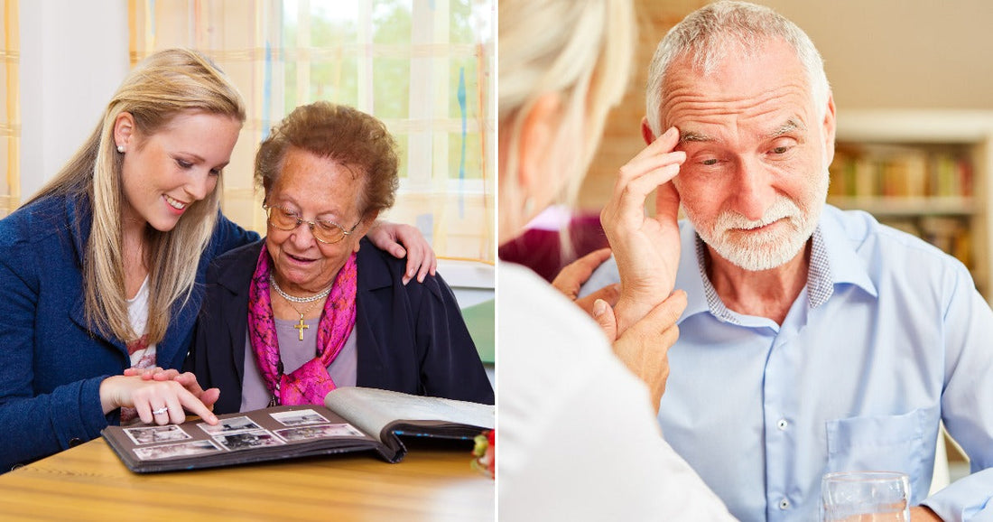 Could the Brain’s Physical Shape Help Explain Why Alzheimer’s Attacks ...