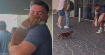 On the left, a man cradles a small brown puppy indoors; on the right, a man crou