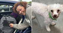 On the left, a curly-haired woman smiles while loading luggage into a car trunk; on the right, a small white poodle wearing a green collar stands on a concrete floor.