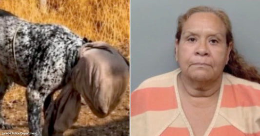 On the left, a spotted horse grazes in a dry, grassy field; on the right, an older woman with long hair wearing a striped prison uniform poses for a mugshot.