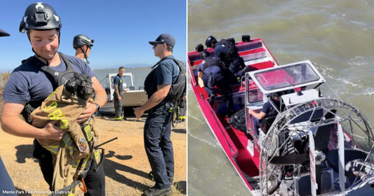 On the left, a person in a helmet cradles a small wet dog wrapped in gear near a waterway; on the right, uniformed responders ride a red airboat on choppy.