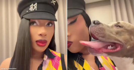 On the left, a woman wearing a black captain's hat and colorful argyle top poses indoors; on the right, a white pit bull licks her face affectionately.