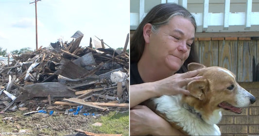 On the left, a large pile of demolished wooden debris sits on a grass lot near a utility truck; on the right, a tearful woman with long dark hair holds.