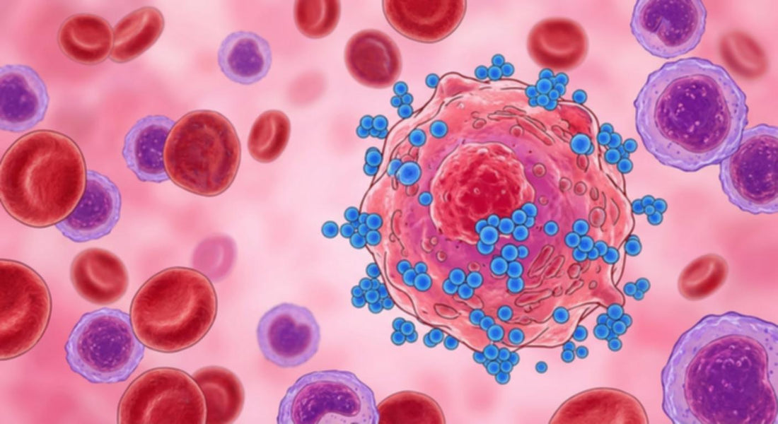 A vibrant illustration of red and white blood cells against a pink background.