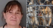 Side-by-side images show a woman’s mugshot and numerous dogs crowded behind a metal gate.