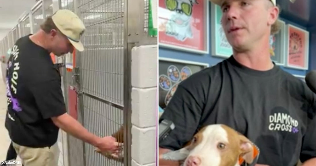On the left, a man in a black shirt reaches into a kennel at an animal shelter; on the right, he holds a small brown-and-white puppy.