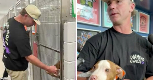 On the left, a man in a black shirt reaches into a kennel at an animal shelter; on the right, he holds a small brown-and-white puppy.