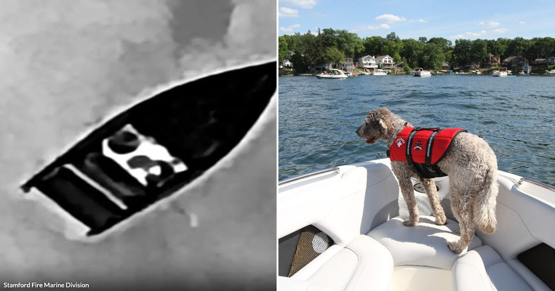On the left, an aerial thermal image shows a small boat on water; on the right, a curly-haired dog wearing a red life jacket stands on a white speedboat.