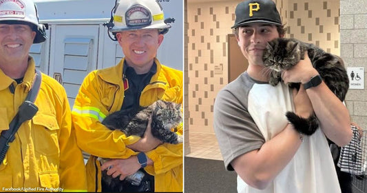 On the left, two firefighters and an animal services officer smile outdoors holding a rescued tabby cat; on the right, a young man in a baseball cap cuddles the same.