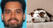 On the left, a young man with short dark hair smiles in a close-up portrait; on the right, a brown-and-white Border Collie lies on a light wooden floor.