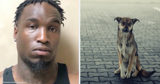 On the left, a man in a black tank top poses for what appears to be a mugshot; on the right, a stray dog sits alone on a brick pavement.