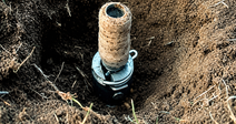 Close-up of a cyanide poison device partially buried in soil, with the baited top exposed above the ground.