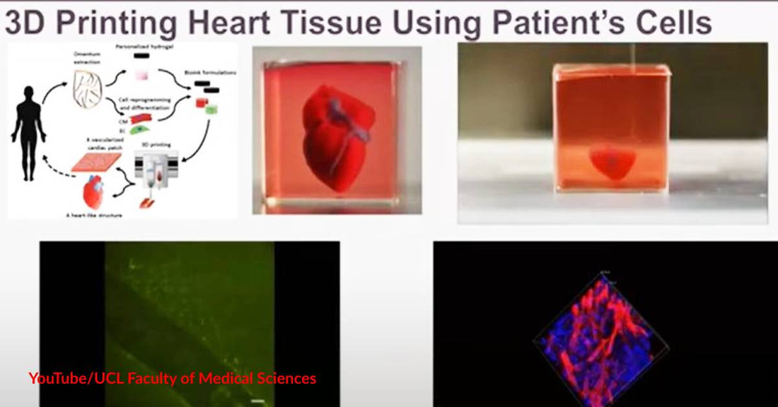 3D Printed Organs Are Among Today’s Incredible Technological Advancements - Can We Now Delay Death?