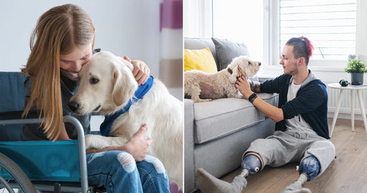 On the left, a young woman in a wheelchair hugs a golden Labrador indoors; on the right, a man with prosthetic legs pets a small white dog on a sofa.