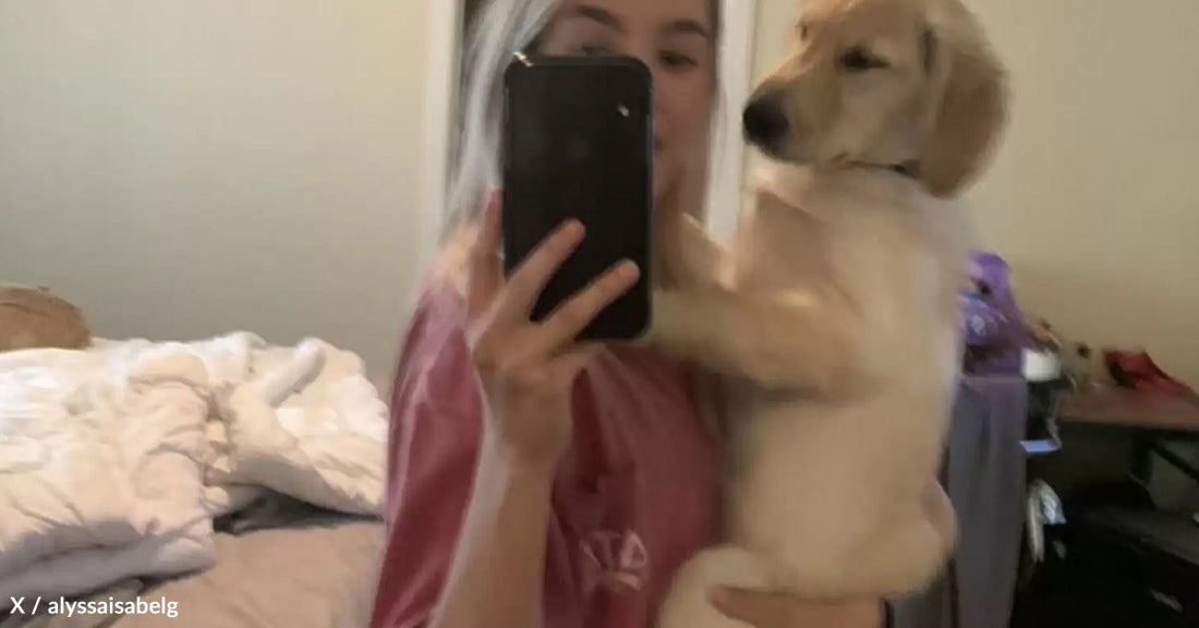 A person holds a puppy in front of a mirror, smiling playfully.