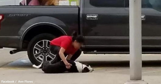 A person crouches beside a dog near a parked truck.