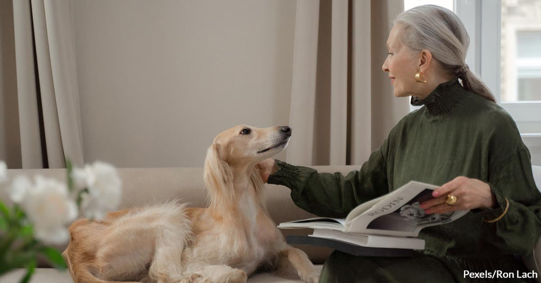 These Dog Breeds Are Perfect Companions For Elderly People