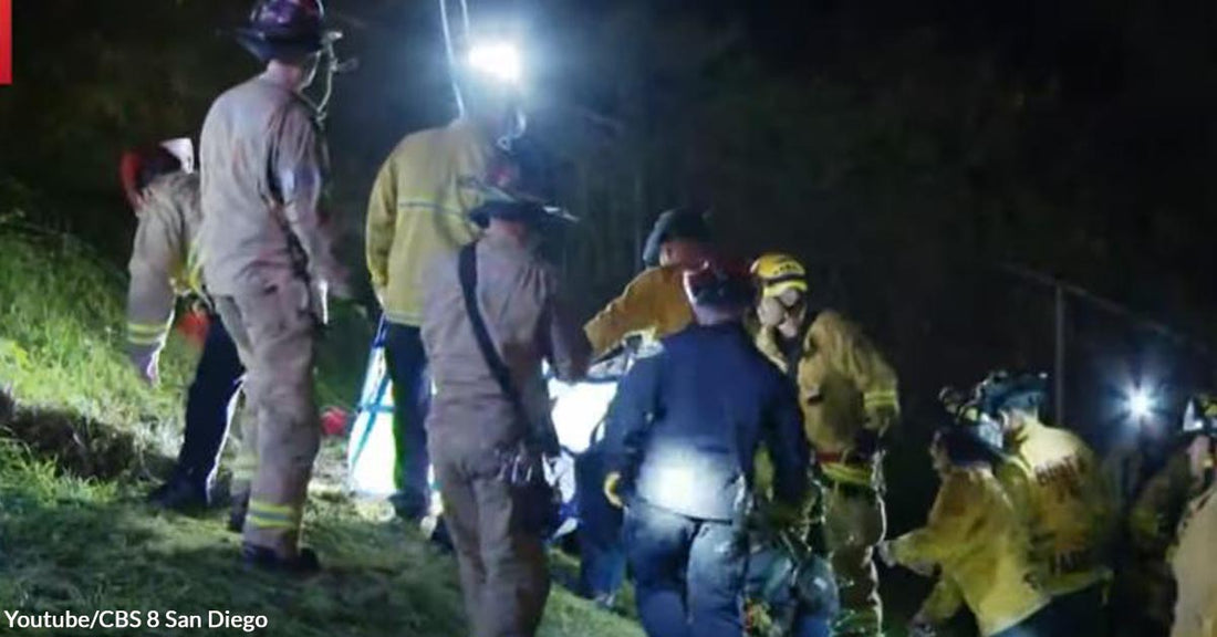 A Dog Got Trapped in a Well for Hours and Was Rescued by Firefighters