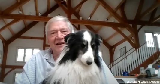 Dog Went Missing and Surprisingly Survived Five Weeks Alone in the Mountains