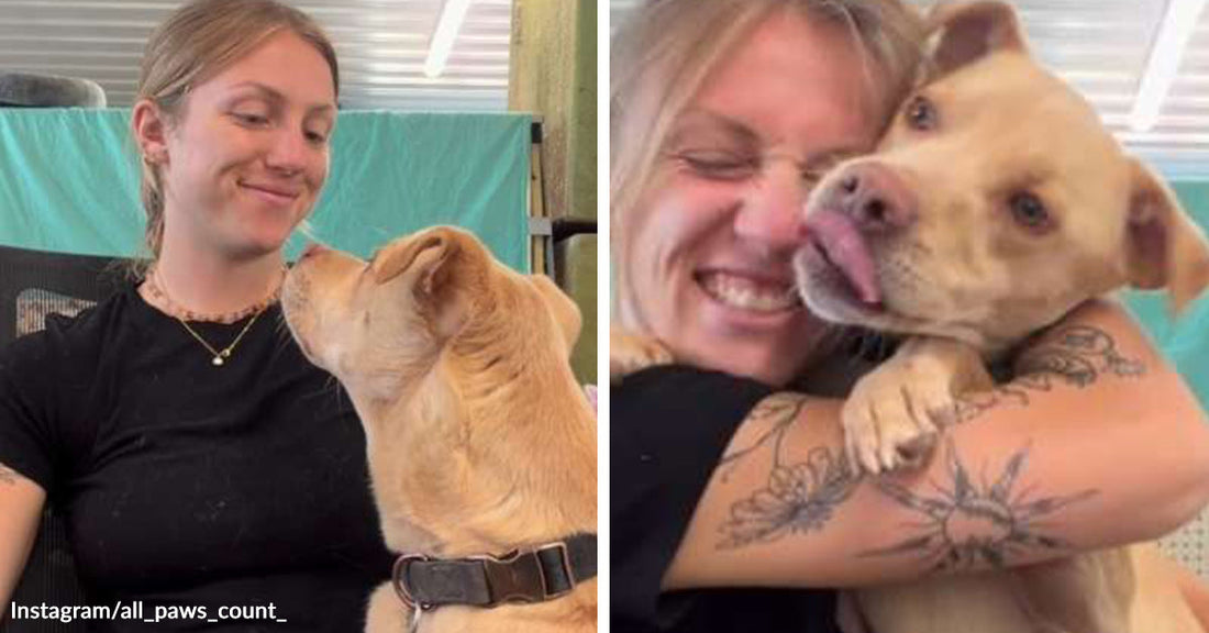 Left: Woman smiling at a tan dog looking up at her; Right: Same woman hugging the dog as it licks her face.