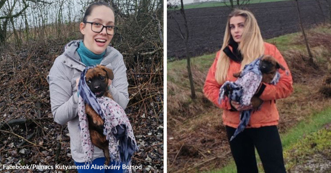 Two women each hold a small brown puppy wrapped in a patterned blanket outdoors near muddy brush and grass.