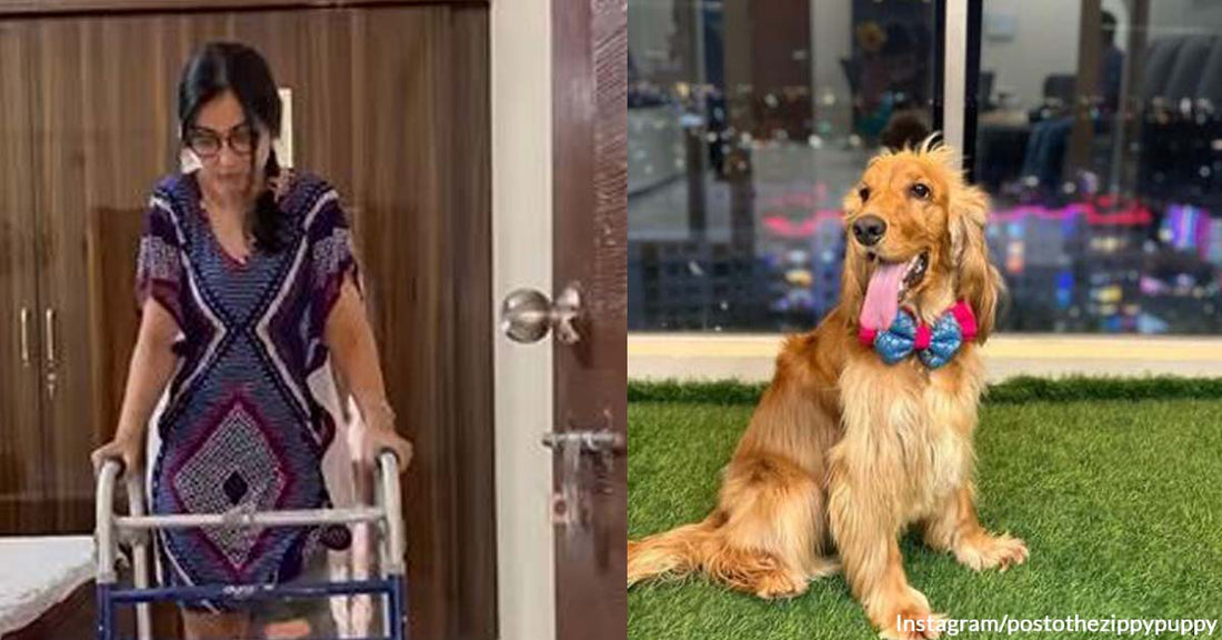 A Dog Mom Shared How Her Special Pooch Made Surgery Recovery Bearable for Her