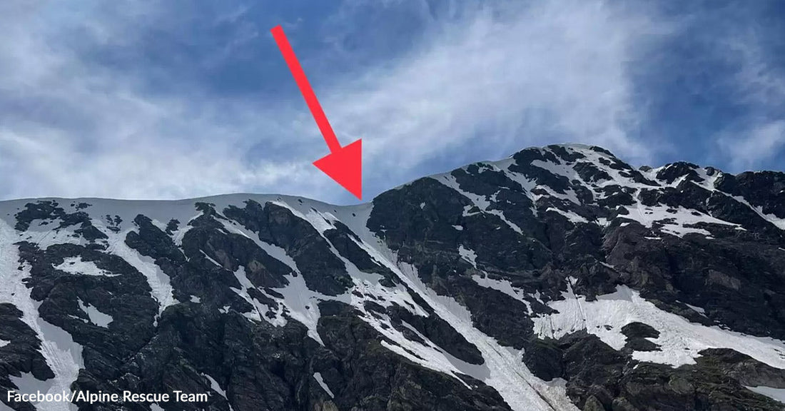 A wide shot of a steep, snow-covered mountain ridge with dark rocky outcrops. High above the slope, a small figure—identified by rescuers as a dog—is barely visible at the crest, marked by a large red arrow in the sky.