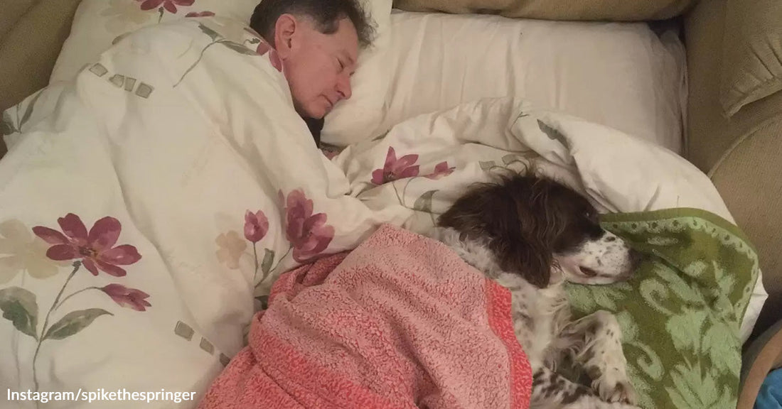 A man and a dog sleep peacefully together under cozy blankets.