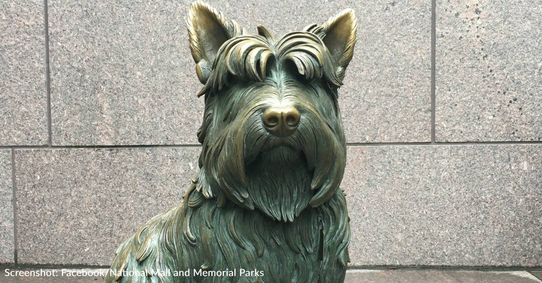 Dog Monuments Around The World Are Turning Gold From People Petting Them