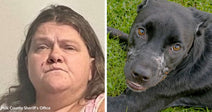 Mugshot of a woman next to an image of a black dog lying in grass looking up at the camera.