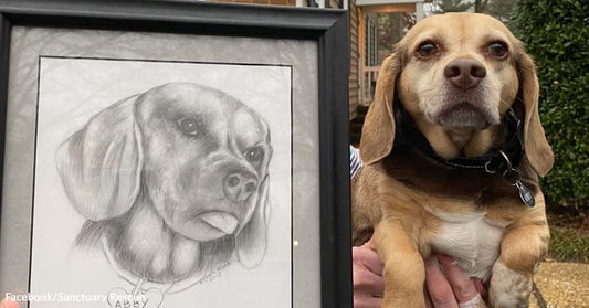Person holding a small tan-and-brown dog beside a framed pencil portrait of the same dog labeled “Abby,” outdoors near brick buildings.
