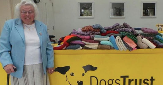 89-Year-Old Woman Knitted 450 Blankets And Coats For Shelter Dogs