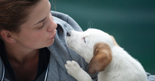 When Dogs Hear Their Humans Say "I Love You" It Sets Their Hearts Racing, Study Finds