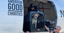 Shelter Pets Rescued from Georgia Wildfires Get Second Chance