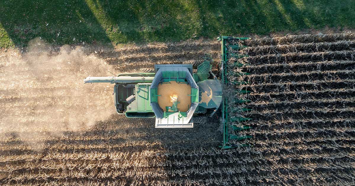 EPA Unleashes New ‘Forever Chemical’ Pesticides Despite Mounting Health ...