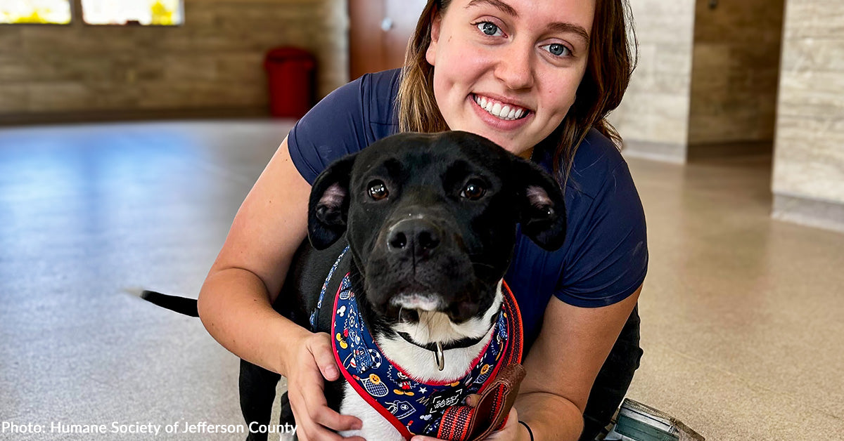 Shelter Animals Evacuated After Hurricane Helene Find Loving Homes in ...