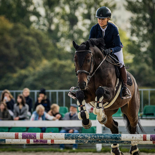 End The Cruel Rule That Lets Bleeding Horses Suffer For Competition